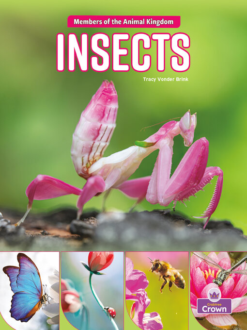 Title details for Insects by Tracy Vonder Brink - Available